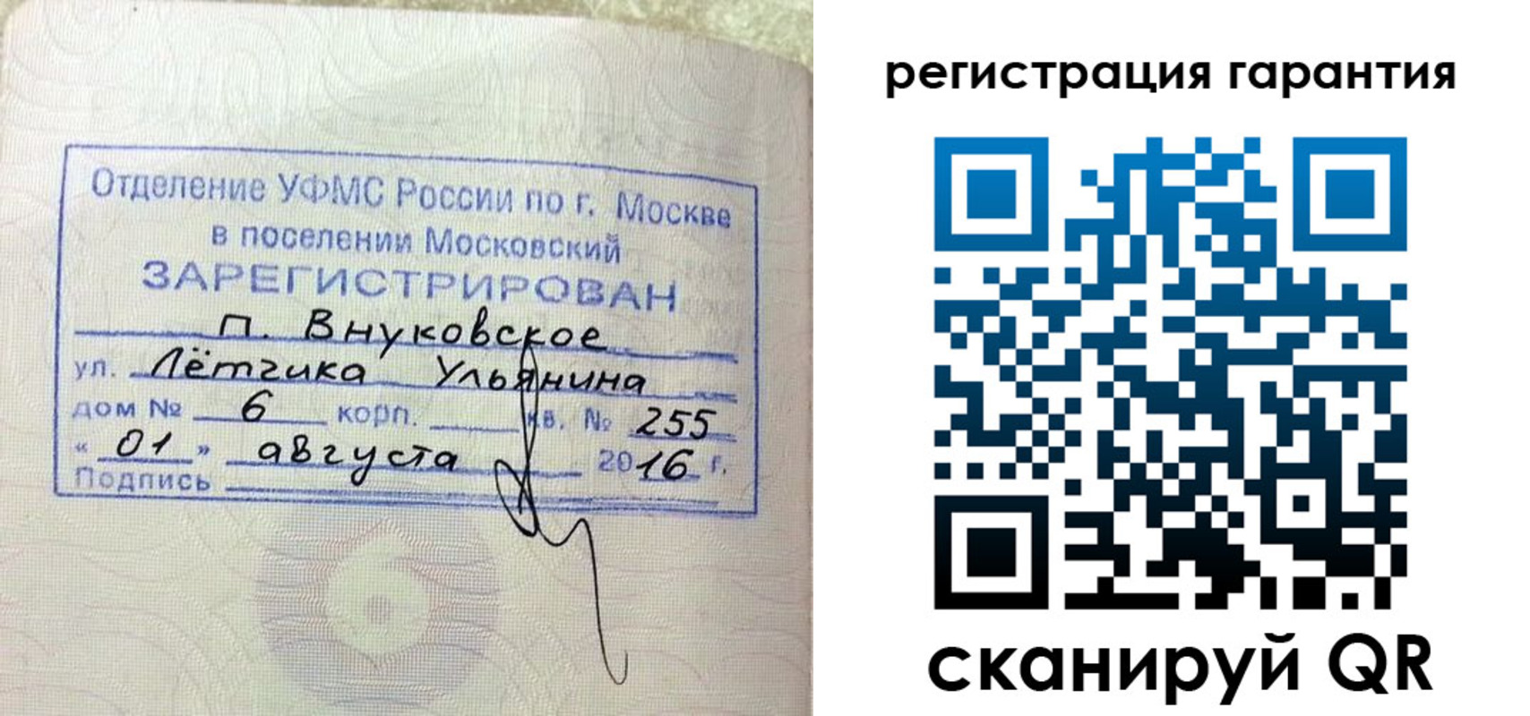 прописка штамп в Борзе